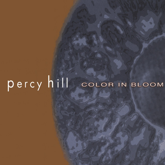20 Years of Color in Bloom with Percy Hill's Aaron Katz